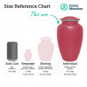 Pirate Flag Cremation Urn - Rose Pink