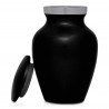 Fairy In the Moon Keepsake Urn - Jet Black