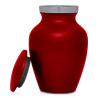Mountain Bike Keepsake Urn - Ruby Red
