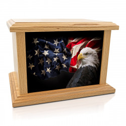 American Flag Bald Eagle...